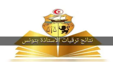 وزارة التربية التونسية تعلن. نتائج ترقيات الأساتذة 2024 في تونس وأبرز شروط الحصول علي الترقيات عبر education.tn