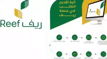 10 شروط للتسجيل في برنامج ريف وكيفية التقديم والأوراق المطلوبة