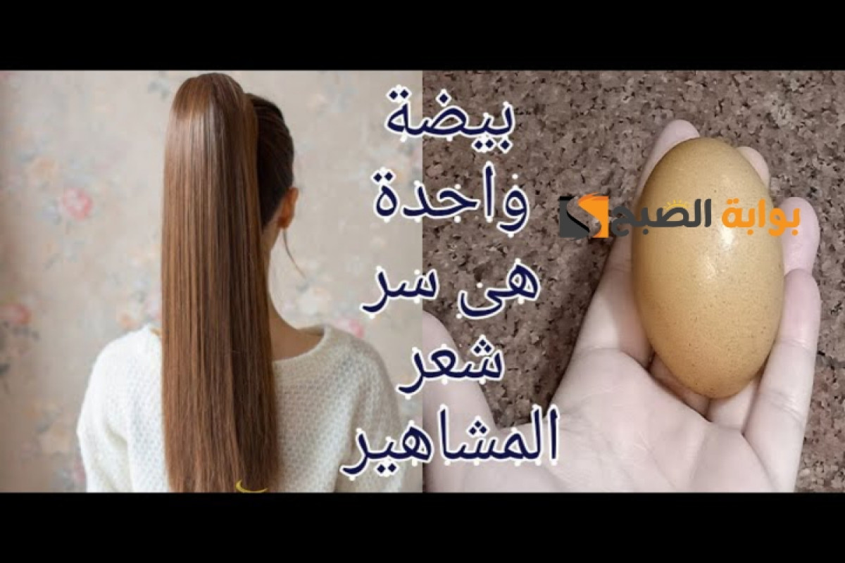 بيضة واحدة ونقطة زيت وصفة لتطويل الشعر بسرعة 2 بيضة واحدة ونقطة زيت وصفة لتطويل الشعر بسرعة