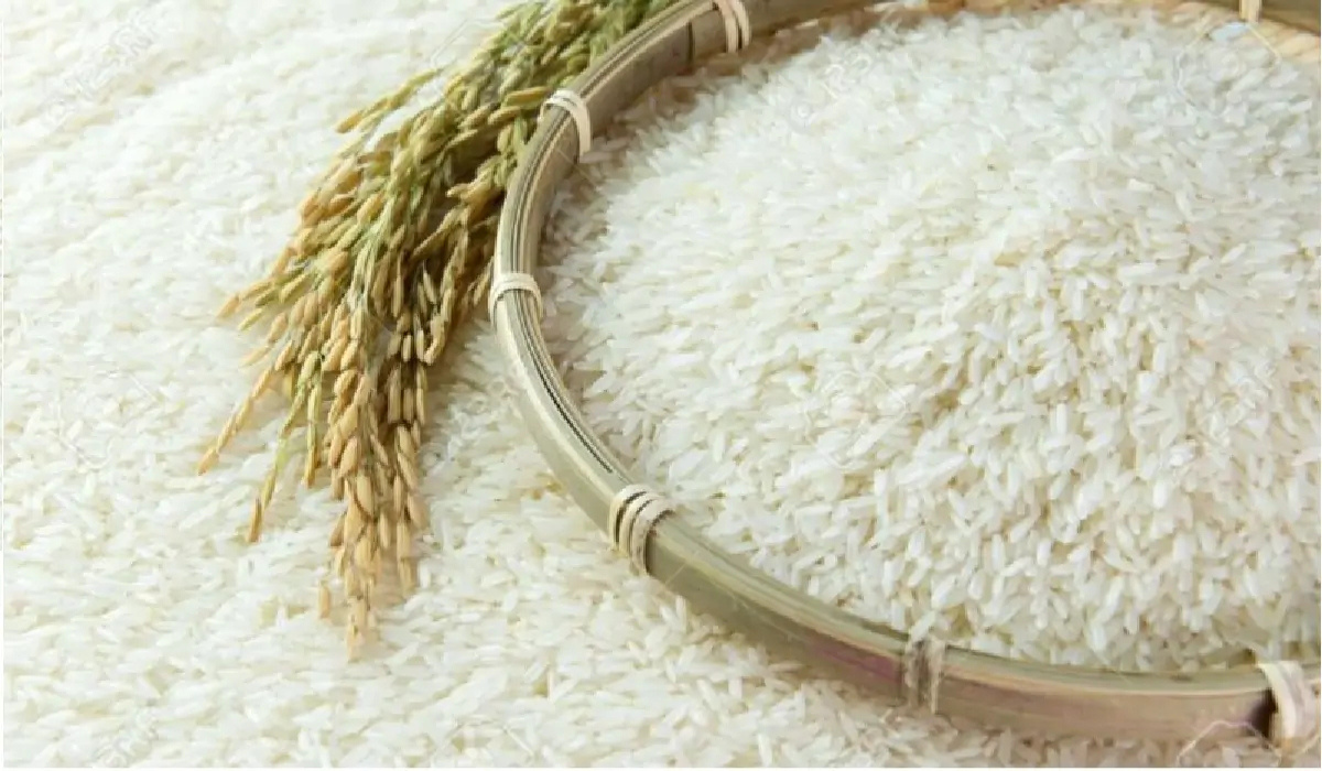 سعر طن الأرز الشعير اليوم السبت 2 نوفمبر 2024 في الأسواق