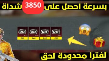 3850 20241115 185210 ٠٠٠٠
