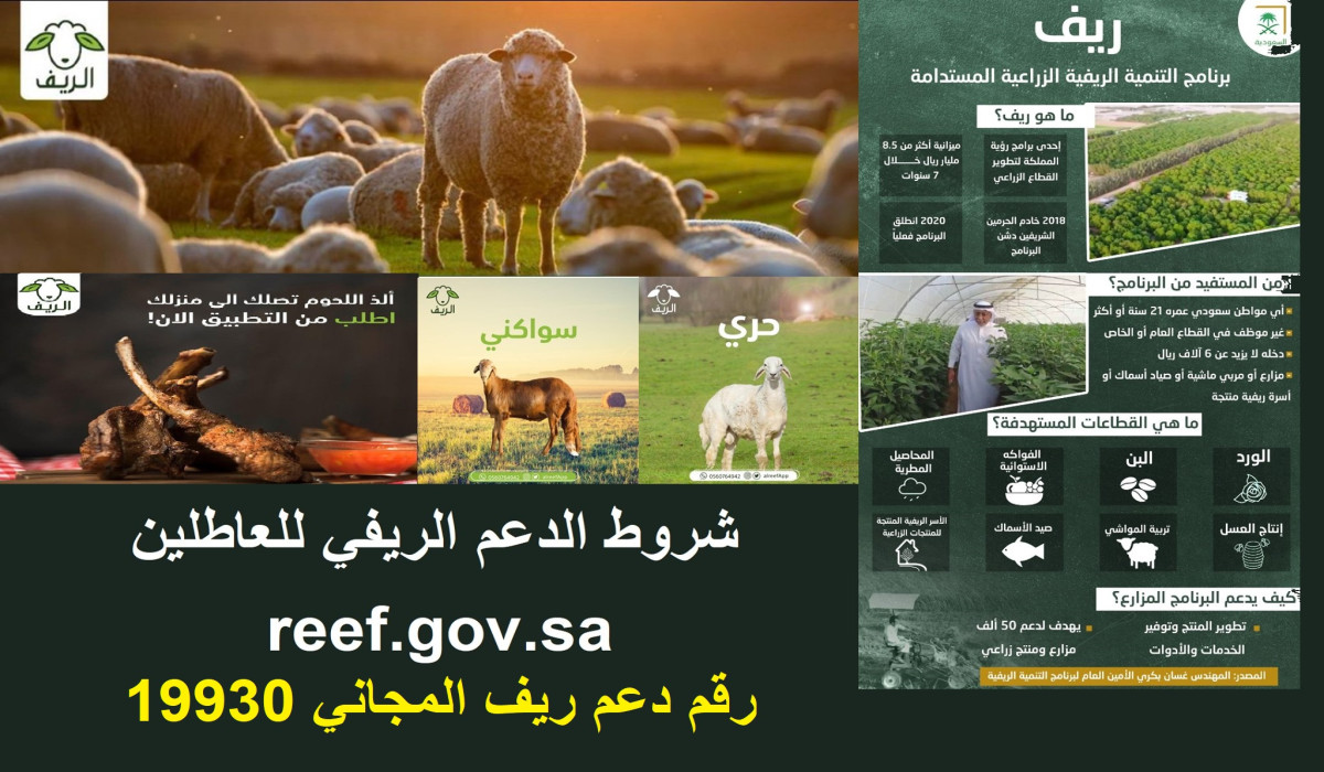 لتقديم أي استفسار أو شكوى.. رقم دعم الريف المجاني للاستعلام عن الدعم 1446