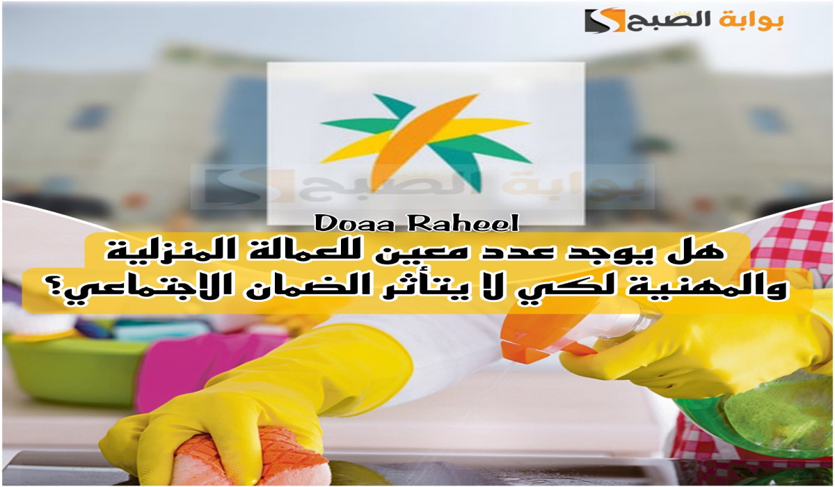 هل يوجد عدد معين للعمالة المنزلية والمهنية لكي لا يتأثر الضمان الاجتماعي؟.. البرنامج يجيب