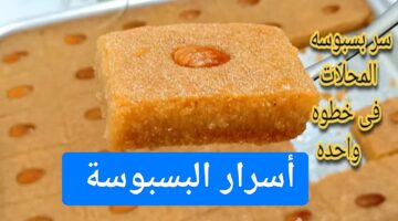 IMG ٢٠٢٣١٢٠٢ ٠٢٥٩٠٩