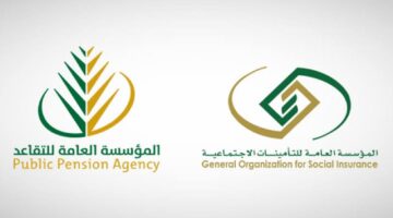 IMG ٢٠٢٤١١١٤ ١٧٤١١٥ 1280 x 720 pixel