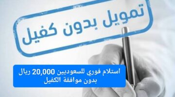 IMG ٢٠٢٤١١١٦ ١٤١١٣٤ 1280 x 720 pixel