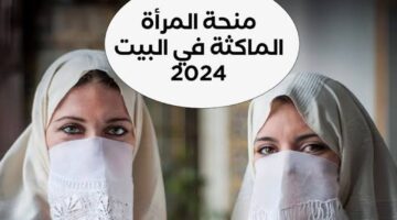 IMG ٢٠٢٤١١١٦ ١٥١٢١٦ 1280 x 720 pixel