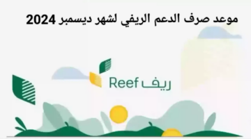 IMG ٢٠٢٤١١١٦ ١٦٣٤٤٥
