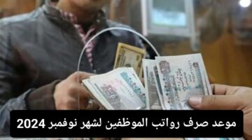 IMG ٢٠٢٤١١١٦ ١٦٤٢٣١