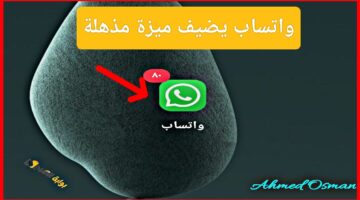 IMG ٢٠٢٤١١٢٧ ١٩٢٤٣٨ 1