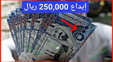 IMG ٢٠٢٤١١٢٩ ٢٢٠٦٣٤ 1