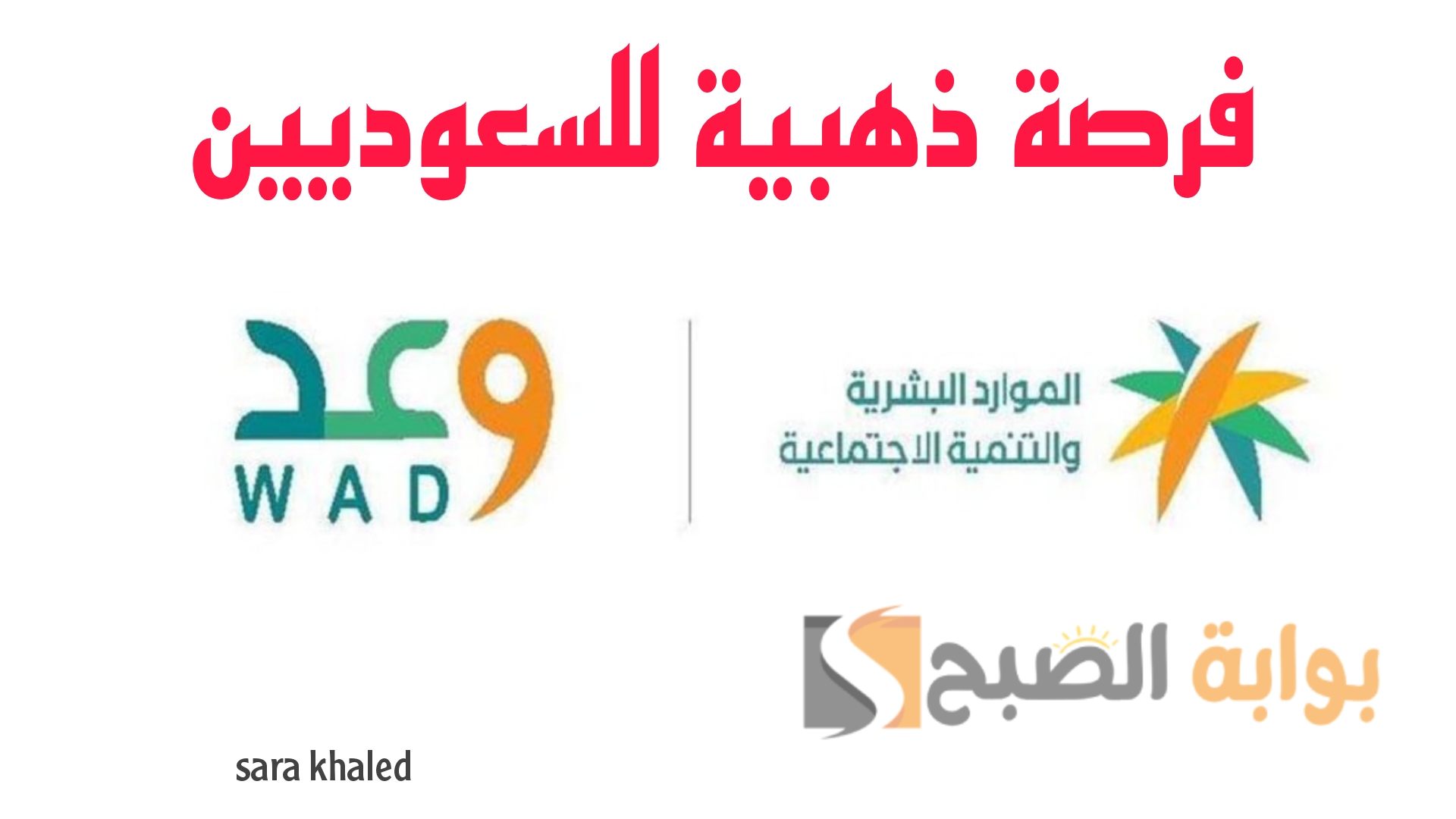 «فرصة ذهبية للسعوديين».. الموارد البشرية تطلق حملة «وعد» لتوفير مليون فرصة تدريبية.. اعرف التفاصيل والشروط
