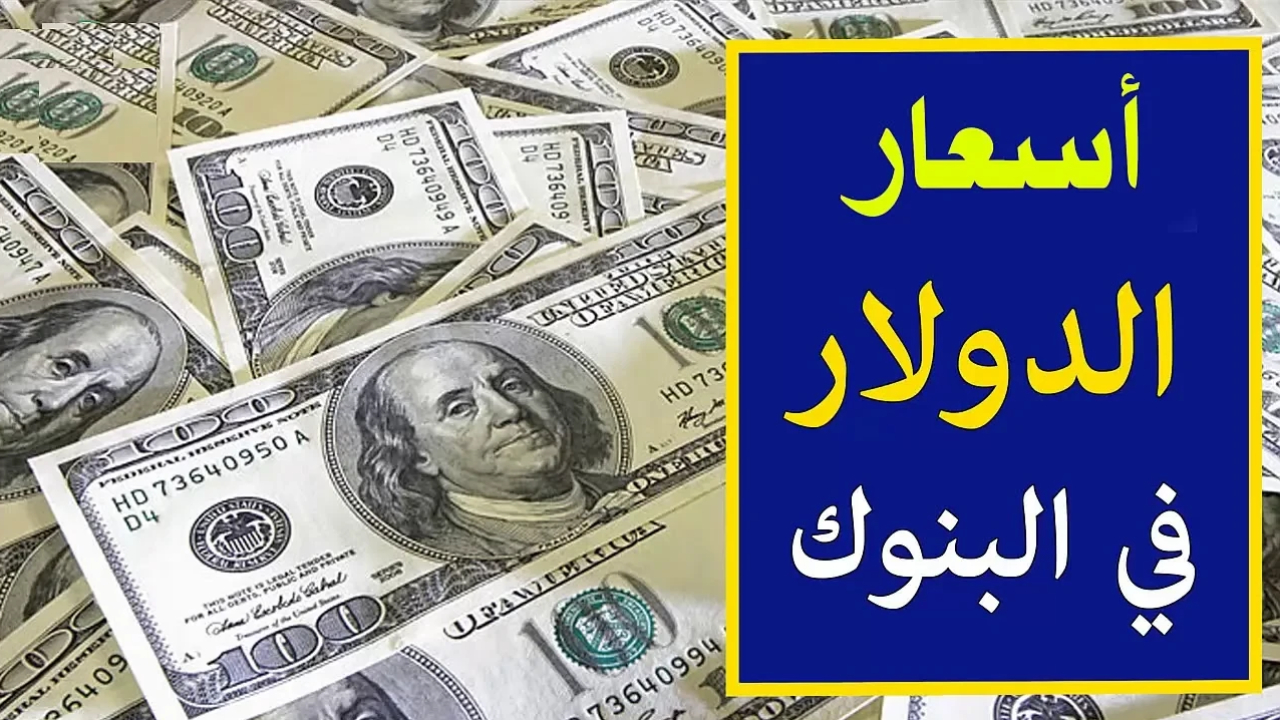 أخر تحديث.. سعر الدولار مقابل الجنيه المصري مع أخر نسب زيادة