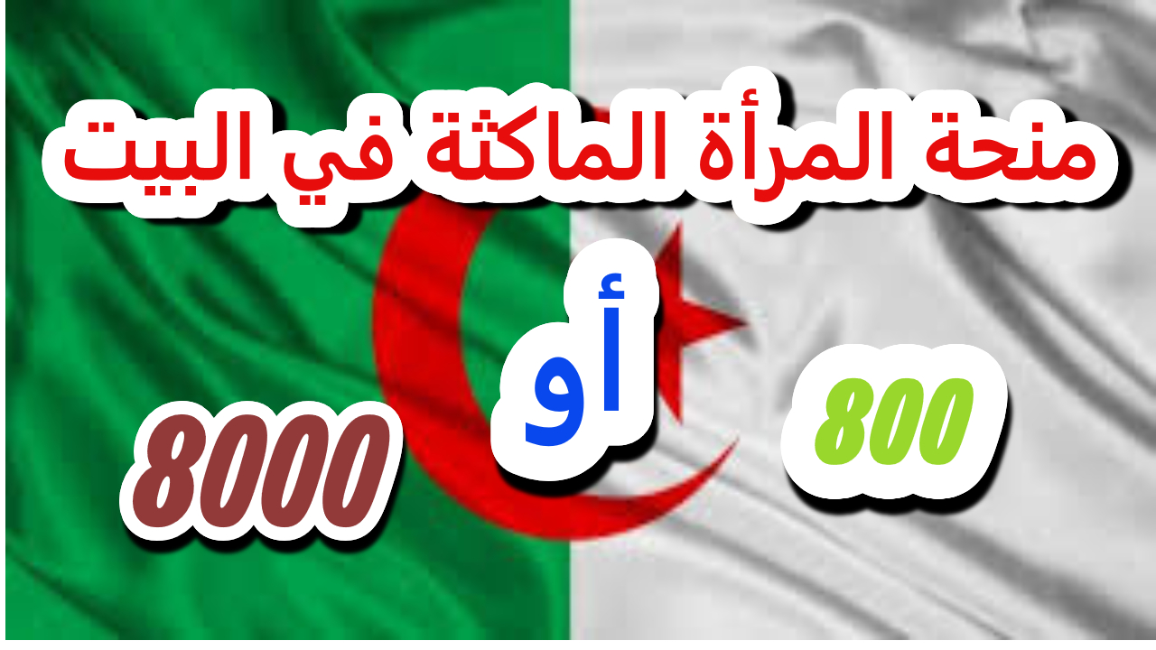 الوكالة الوطنية للتشغيل تحسم زيادة منحة المرأة الماكثة في البيت وتوجه تأكيدات هامة