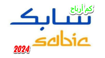 Web Photo Editor58