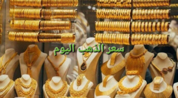 image ٦٩٦