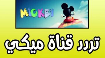images 8 1