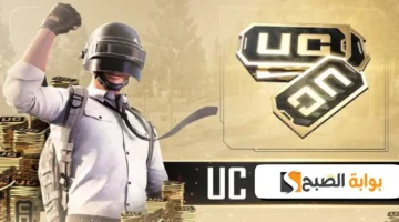 pubg mobile uc 2024
