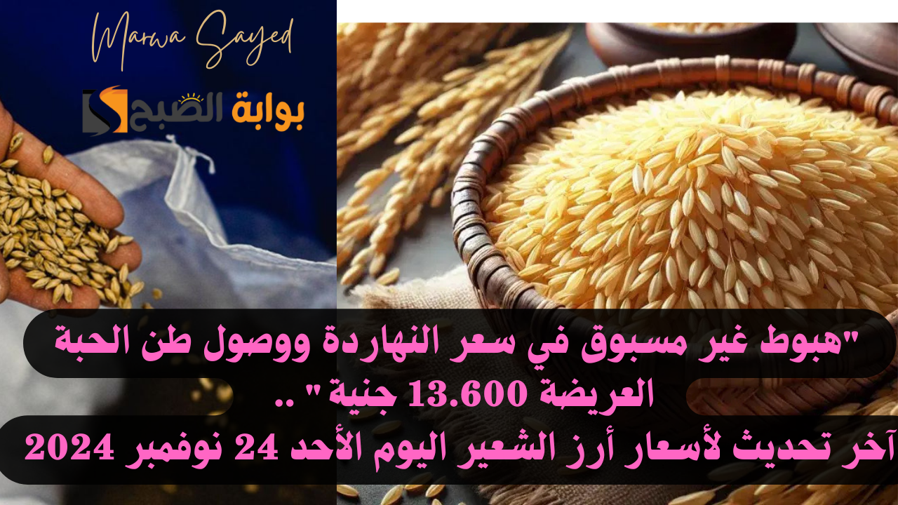 “هبوط غير مسبوق في سعر النهاردة ووصول طن الحبة العريضة 13.600 جنية” .. آخر تحديث لأسعار أرز الشعير اليوم الأحد 24 نوفمبر 2024