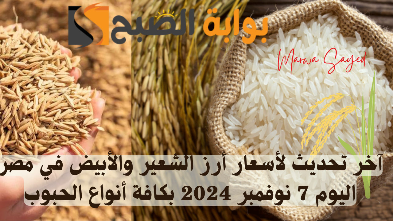 “بكام وصل سعر الحبة الرفيعة النهاردة” .. آخر تحديث لأسعار أرز الشعير والأبيض في مصر اليوم 7 نوفمبر 2024 بكافة أنواع الحبوب
