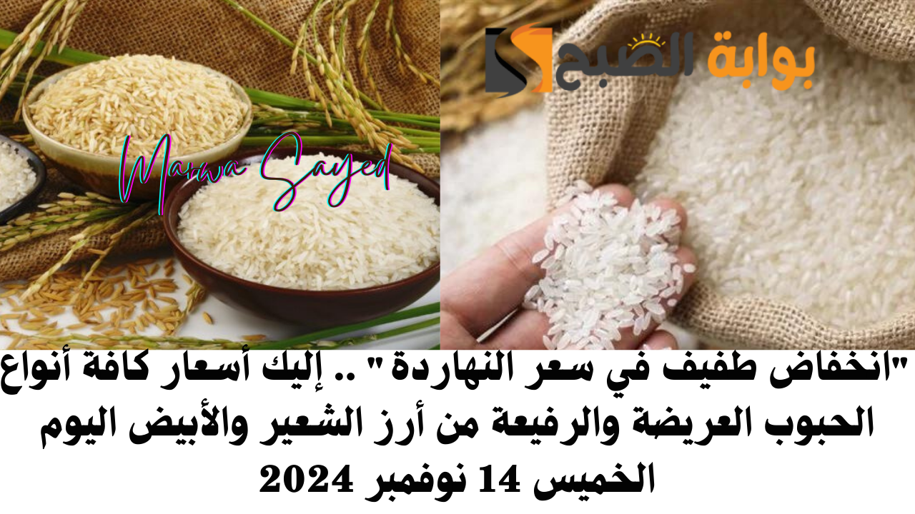 “انخفاض طفيف في سعر النهاردة” .. إليك أسعار كافة أنواع الحبوب العريضة والرفيعة من أرز الشعير والأبيض اليوم الخميس 14 نوفمبر 2024