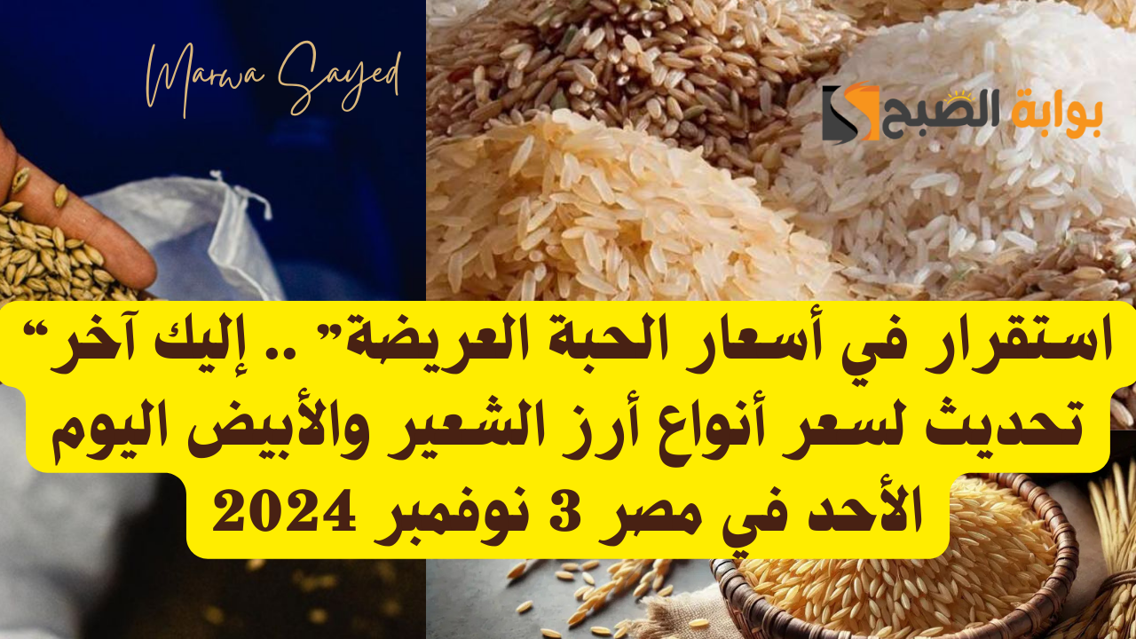 “استقرار في أسعار الحبة العريضة” .. إليك آخر تحديث لسعر أنواع أرز الشعير والأبيض اليوم الأحد في مصر 3 نوفمبر 2024