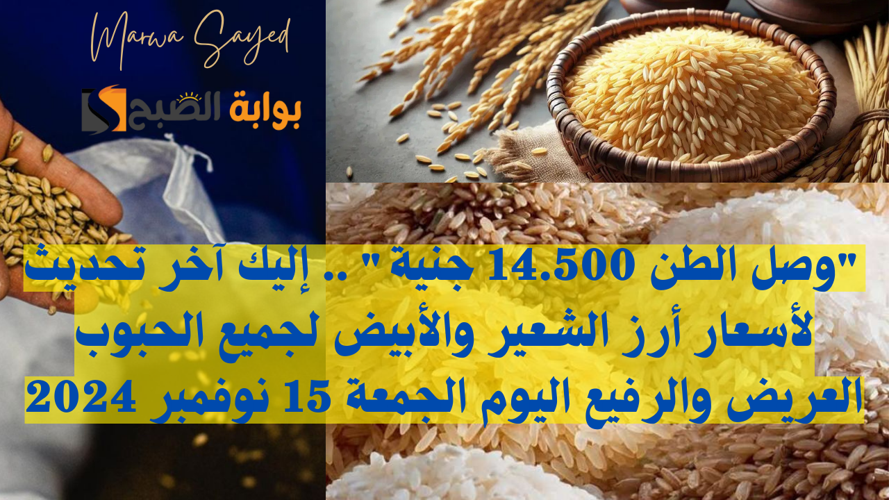 “وصل الطن 14.500 جنية” .. إليك آخر تحديث لأسعار أرز الشعير والأبيض لجميع الحبوب العريض والرفيع اليوم الجمعة 15 نوفمبر 2024