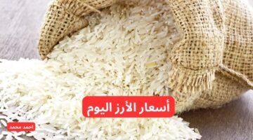 أسعار الأرز اليوم. بكم سعر طن الأرز الشعير اليوم الثلاثاء 26 11 2024