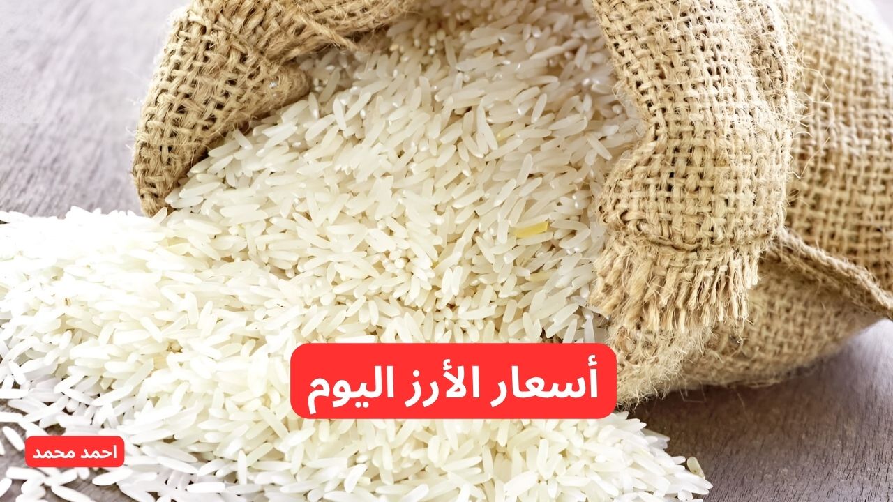 "الرفيعه والعريضة".. أسعار الأرز اليوم.. بكم سعر طن الأرز الشعير اليوم الثلاثاء 26-11-2024؟ 2 “الرفيعه والعريضة”.. أسعار الأرز اليوم.. بكم سعر طن الأرز الشعير اليوم الثلاثاء 26-11-2024؟