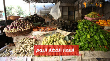 أسعار الخضار اليوم 1
