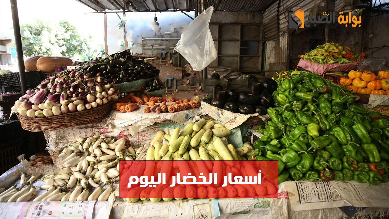 أسعار الخضار اليوم الجمعة 22 نوفمبر وانخفاض سعر الطماطم والبطاطس 2 أسعار الخضار اليوم الجمعة 22 نوفمبر وانخفاض سعر الطماطم والبطاطس