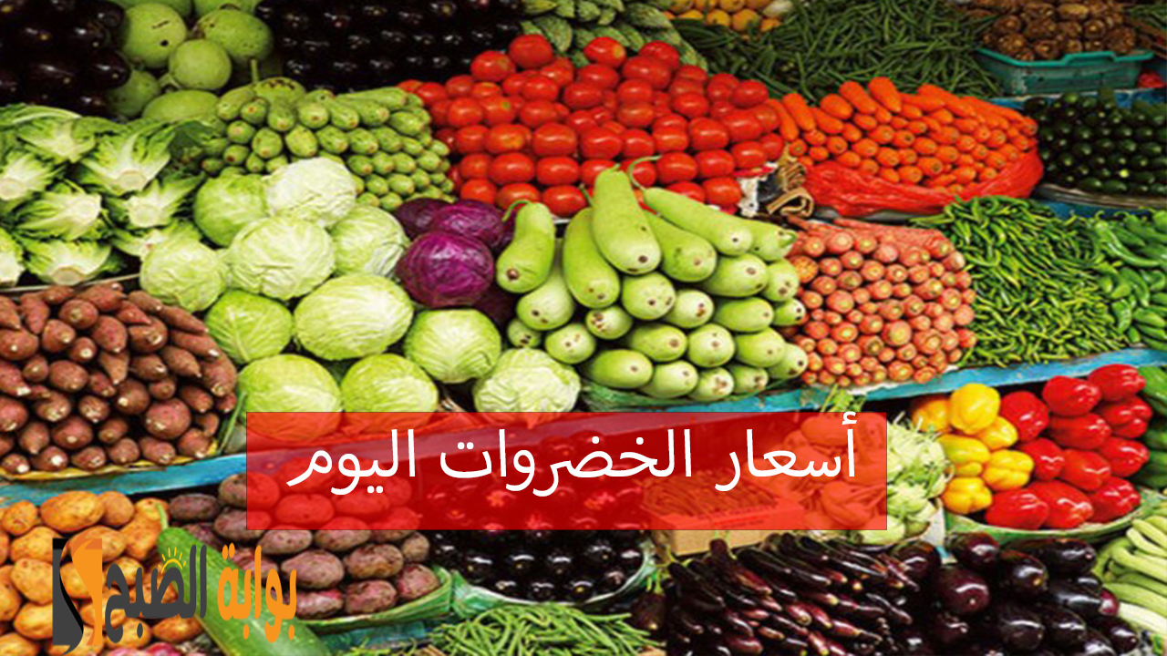 كيلو الطماطم بكام النهاردة... أسعار الخضار اليوم الثلاثاء 5 نوفمبر وانخفاض جميع الخضروات 2 كيلو الطماطم بكام النهاردة… أسعار الخضار اليوم الثلاثاء 5 نوفمبر وانخفاض جميع الخضروات
