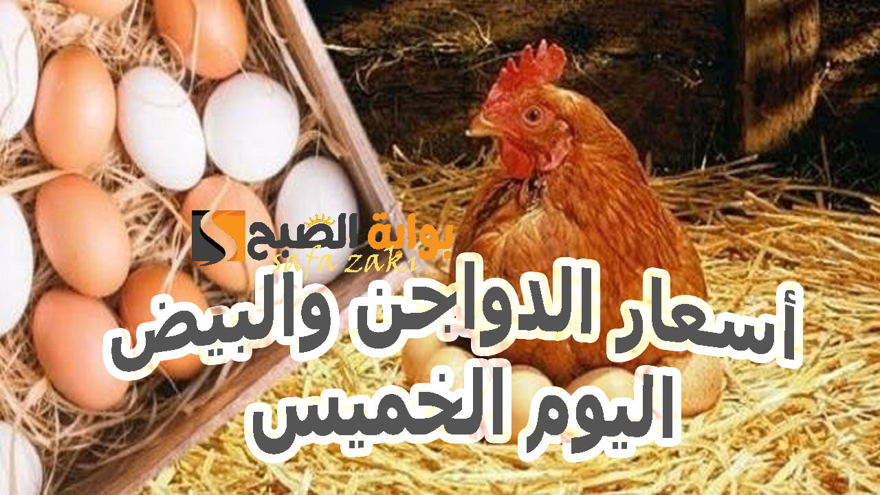 بتراجع 5 جنيهات.. أسعار الدواجن والبيض اليوم الخميس 14 نوفمبر 2024 في بورصة الدواجن وبوابة الاسعار للتاجر والمستهلك 5 بتراجع 5 جنيهات.. أسعار الدواجن والبيض اليوم الخميس 14 نوفمبر 2024 في بورصة الدواجن وبوابة الاسعار للتاجر والمستهلك