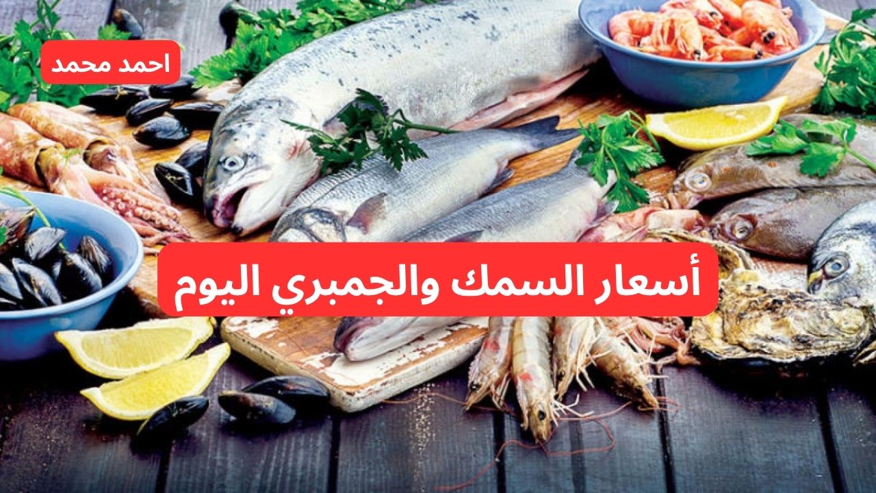 “تراجع أسعار الجمبري والسبيط والكابوريا”.. سعر السمك اليوم الخميس 7 نوفمبر 2024 في الأسواق!