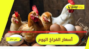 أسعار الفراخ البيض اليوم