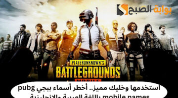 أسماء ببجي 1