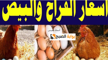 أسماء خميس