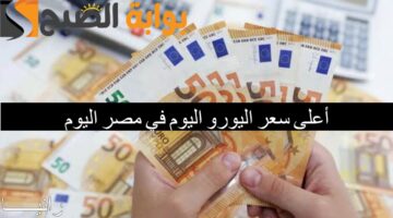 أعلى سعر اليورو اليوم في مصر اليوم11