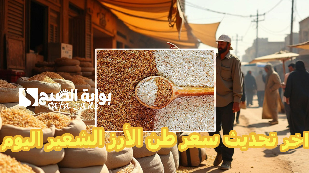 “الطن بكام انهاردة” .. اخر تحديث سعر طن الأرز الشعير اليوم في الأسواق والسلع الغذائية الأساسية