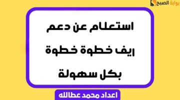 استعلام عن دعم ريف