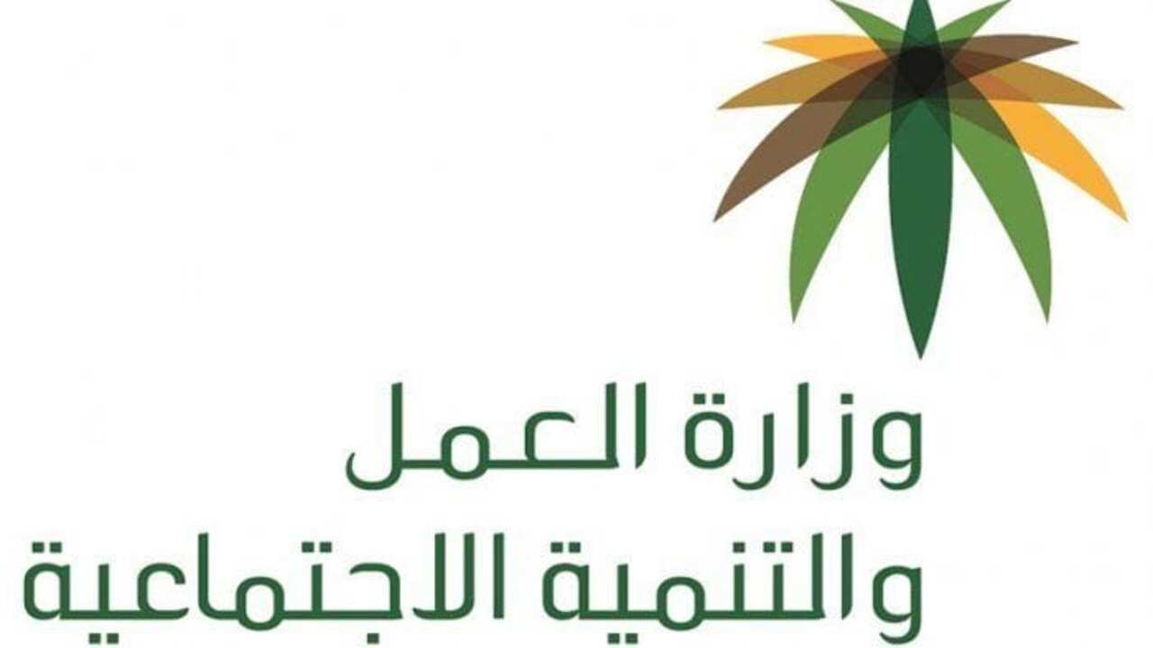 خطوات الاستعلام عن رخصة العمل للمقيمين وشروط التجديد 1446
