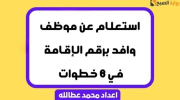 استعلام عن موظف وافد