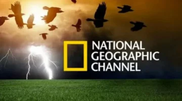 استقبلها بإشارة HD. تردد قناة ناشيونال جيوغرافيك أبو ظبي 2024 National Geographic