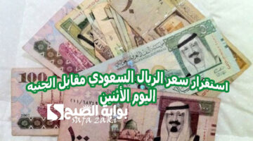 استقرار سعر الريال السعودي مقابل الجنيه اليوم الأثنين