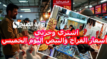 اشتري وخزني . أسعار الفراخ والبيض اليوم الخميس