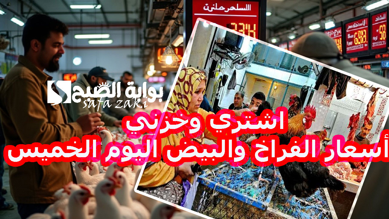 اشتري وخزني .. أسعار الفراخ والبيض اليوم الخميس في بورصة الدواجن  والبيع للمستهلك فى الاسواق