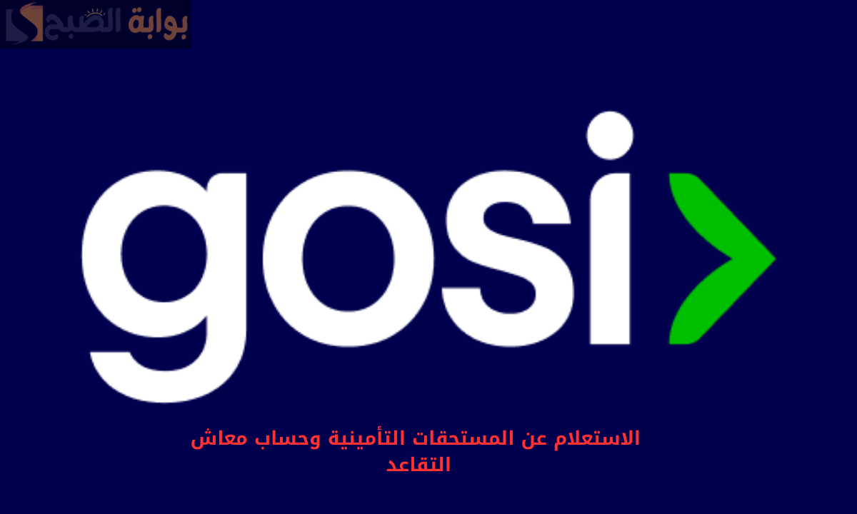 “المؤسسة العامة للتأمينات الاجتماعية” توضح كيفية الاستعلام عن المستحقات التأمينية وحساب معاش التقاعد 1446هـ