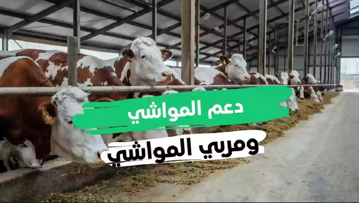 الرابط والخطوات.. الاستعلام عن دعم المواشي لشهر ديسمبر 2024 وهذه هي الفئات المستهدفة 5 الرابط والخطوات.. الاستعلام عن دعم المواشي لشهر ديسمبر 2024 وهذه هي الفئات المستهدفة