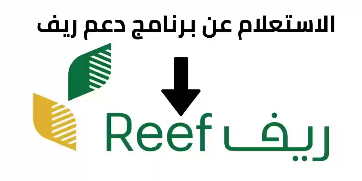 الرابط والخطوات.. طريقة الاستعلام عن دعم ريف برقم الهوية 2024 ومتى ينزل دعم ديسمبر 2 الرابط والخطوات.. طريقة الاستعلام عن دعم ريف برقم الهوية 2024 ومتى ينزل دعم ديسمبر