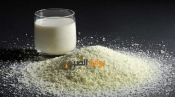 البشاميل بالحليب البودرة1